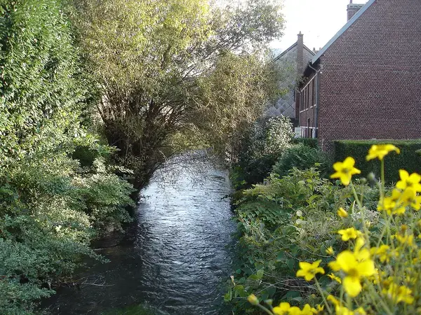 Monte Escalier 76 Entreprise monte escalier Déville-lès-Rouen